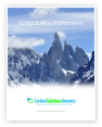 Capability Statement Download